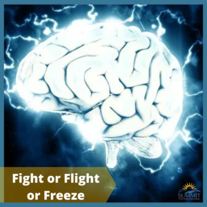 flight-or-flight-or-freeze